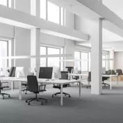 Ofis Hali Kaplamasi 1