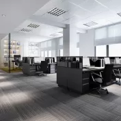 Ofis Hali Modelleri Ve Fiyatlari 1